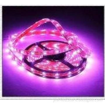 Outdoor 30 5050 SMD LED Christmas String Light